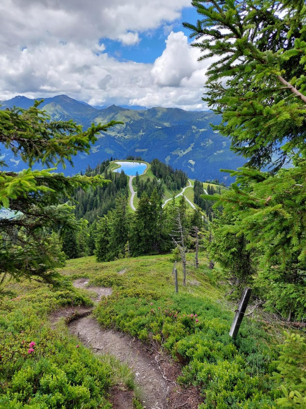Pension Posauner Dorfgastein Dış mekan fotoğraf
